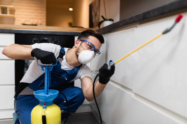 Best Pest Inspection Near Me  in Pikeville, KY
