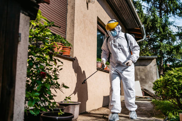 Best Best Pest Control Companies  in Pikeville, KY