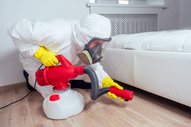 Best Wasp Removal Services  in Pikeville, KY