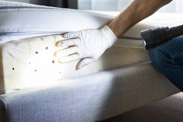Best Bed Bug Extermination  in Pikeville, KY