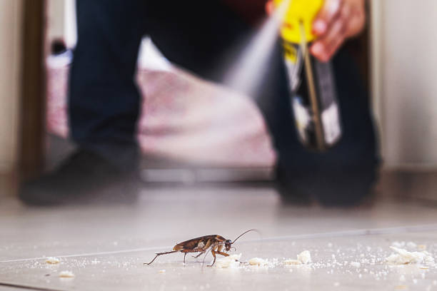 Best Pest Control Treatment  in Pikeville, KY